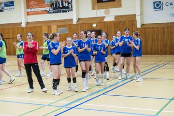 Bild 321 - wBJ TSV Ellerau - HSG Stoertal Hummeln : Ergebnis: 26:19